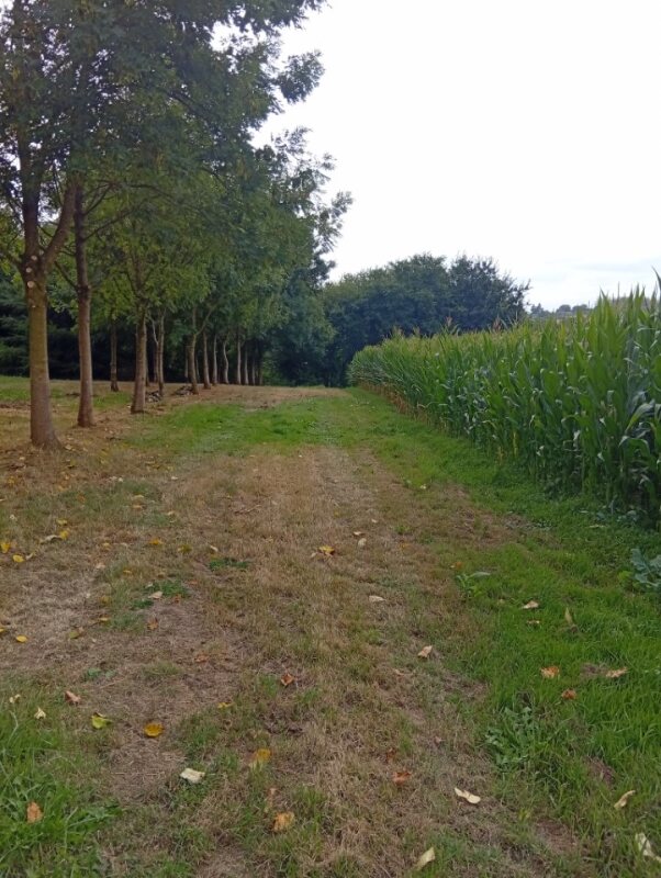 Aire camping-car  Saint-Connan (22480) - Photo 9